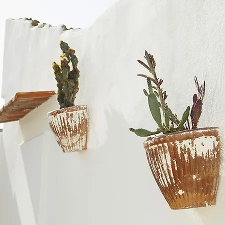 Guest house Palazzo Bianchi Domus Holidays Trani